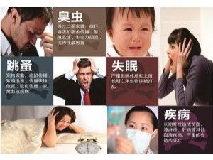 發(fā)現(xiàn)有跳蚤